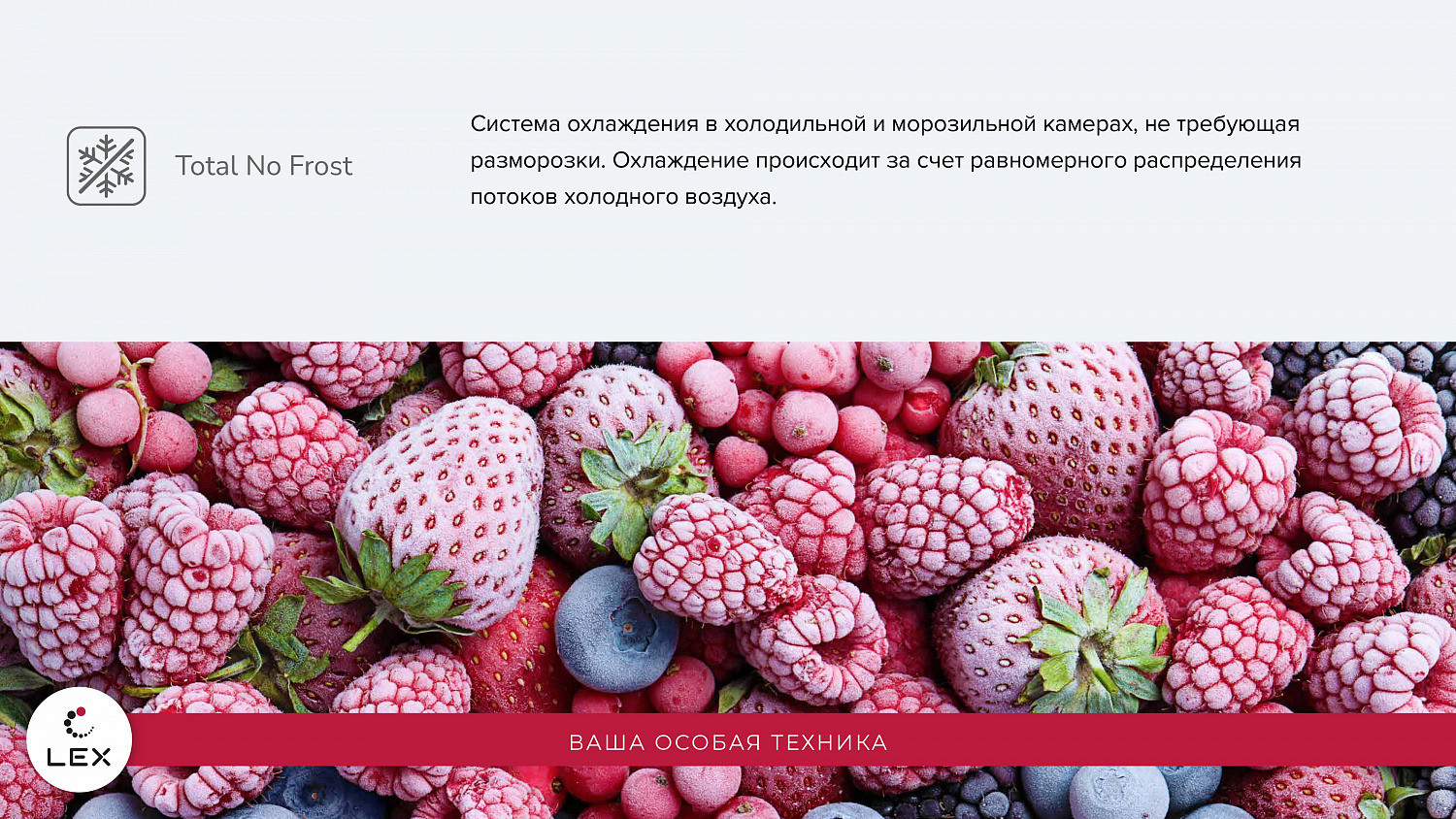 Эксклюзив на рынке России!